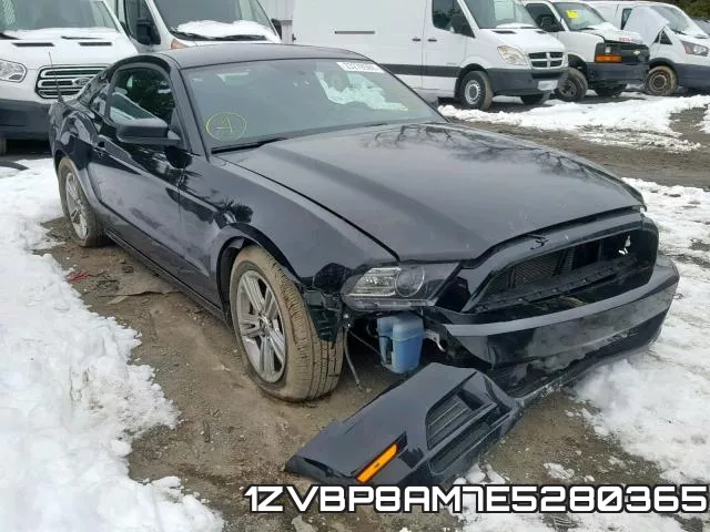 1ZVBP8AM7E5280365