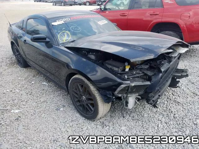1ZVBP8AM8E5230946