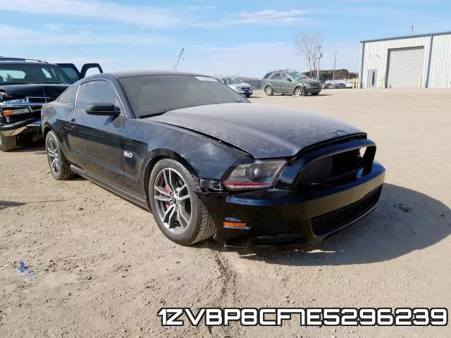 1ZVBP8CF7E5296239
