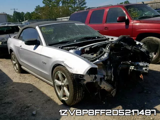 1ZVBP8FF2D5217487