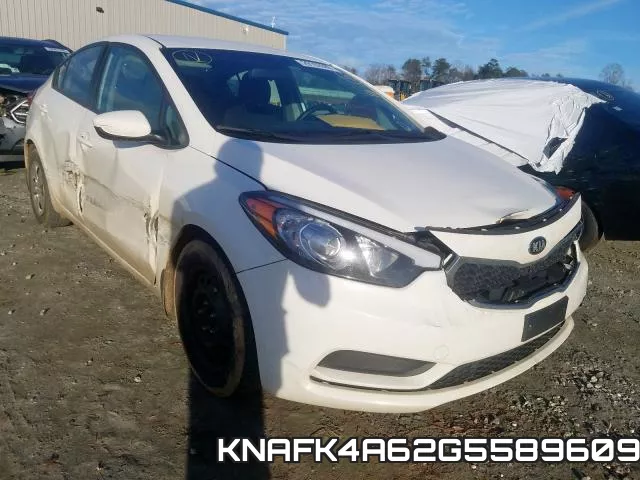 KNAFK4A62G5589609
