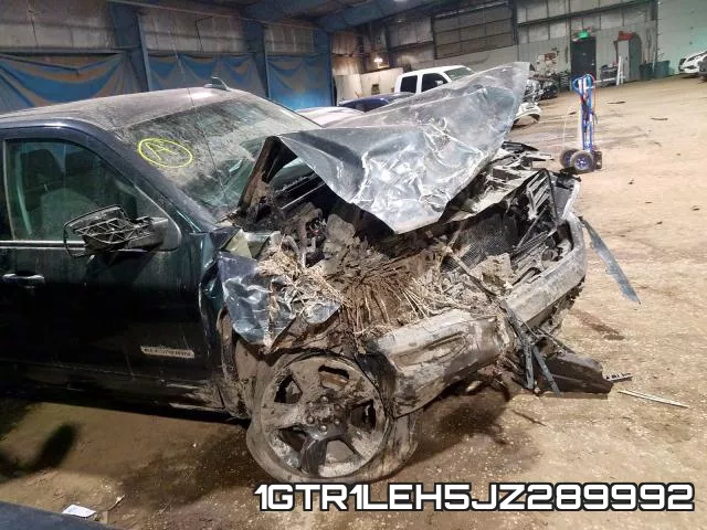 1GTR1LEH5JZ289992_9.webp