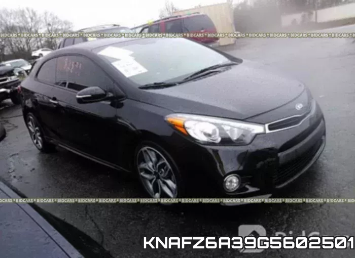 KNAFZ6A39G5602501