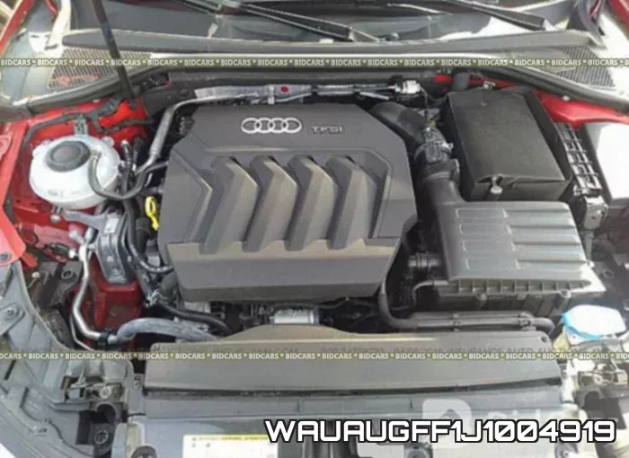 WAUAUGFF1J1004919