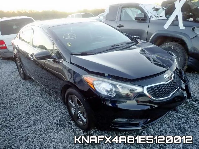 KNAFX4A81E5120012