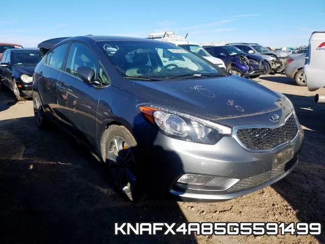 KNAFX4A85G5591499