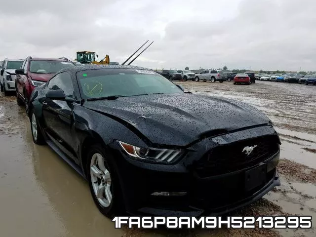 1FA6P8AM9H5213295_1.webp