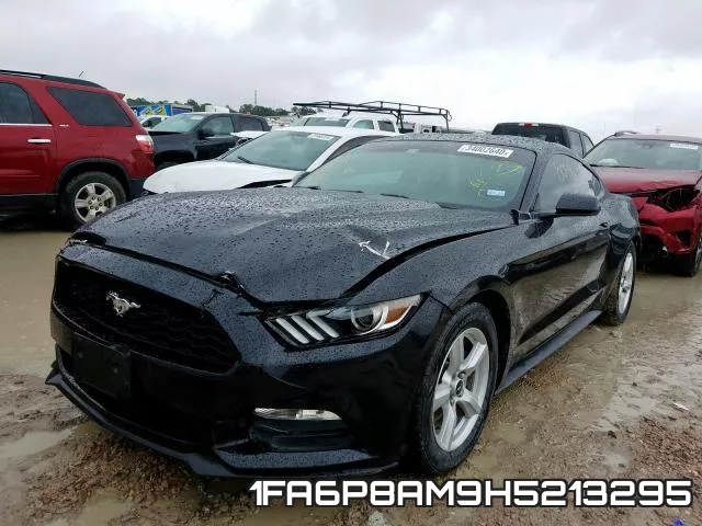 1FA6P8AM9H5213295_2.webp