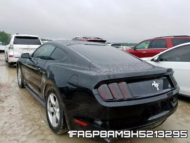 1FA6P8AM9H5213295_3.webp