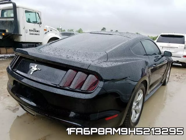 1FA6P8AM9H5213295_4.webp
