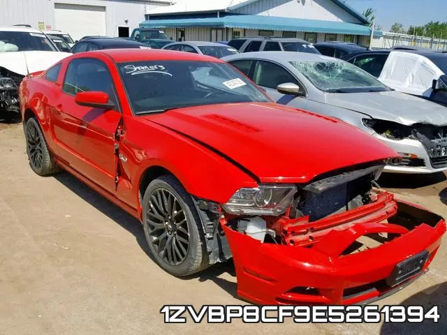 1ZVBP8CF9E5261394