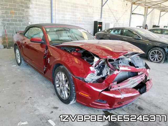1ZVBP8EM6E5246377