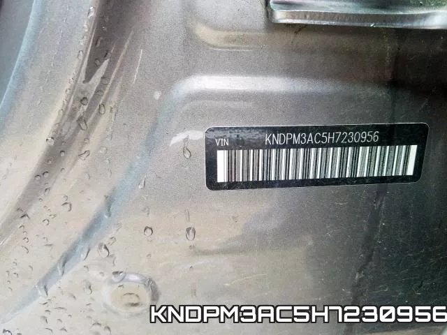 KNDPM3AC5H7230956_10.webp