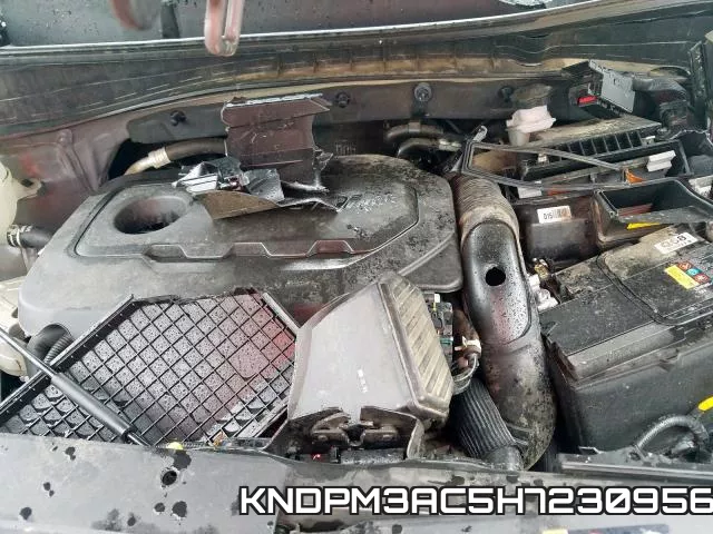KNDPM3AC5H7230956_7.webp