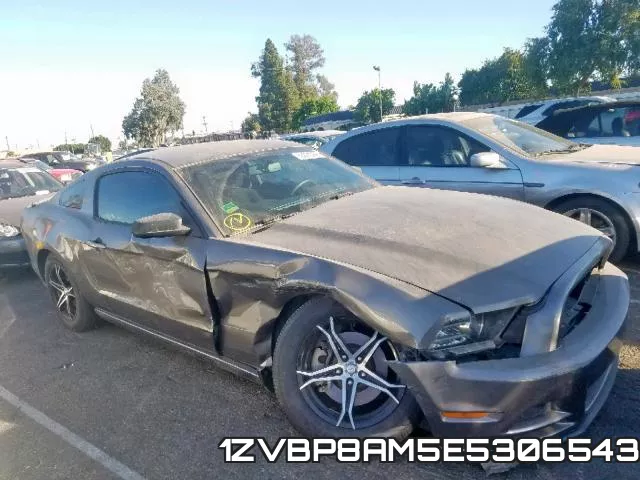 1ZVBP8AM5E5306543