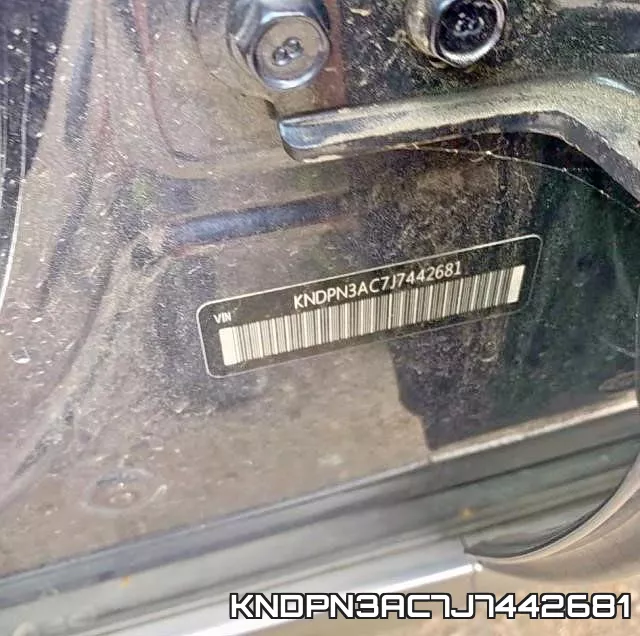 KNDPN3AC7J7442681_10.webp