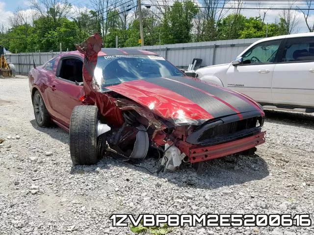 1ZVBP8AM2E5200616