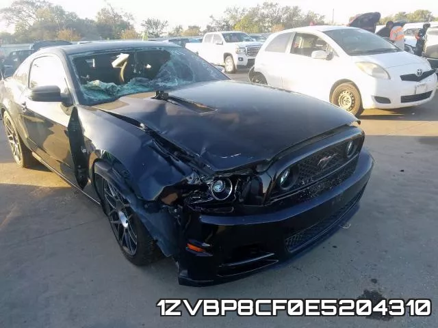 1ZVBP8CF0E5204310