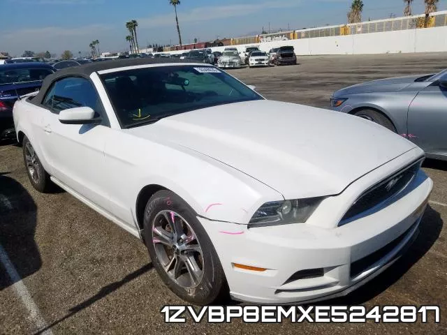 1ZVBP8EMXE5242817