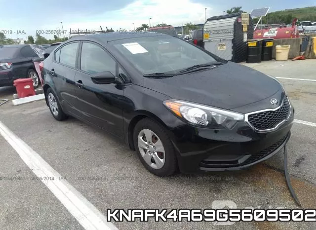 KNAFK4A69G5609502
