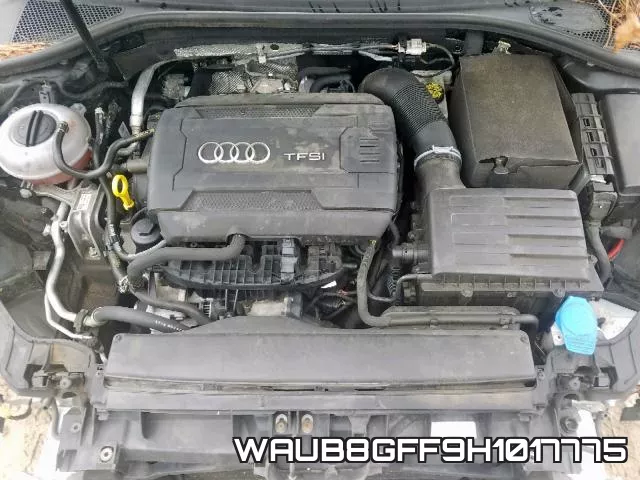 WAUB8GFF9H1017775_7.webp