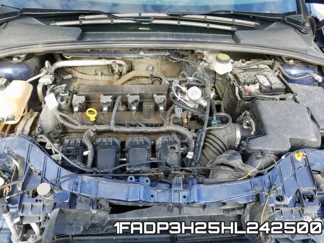 1FADP3H25HL242500