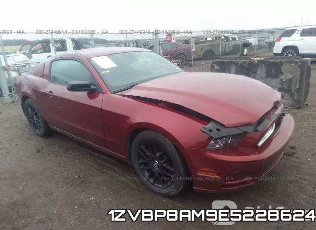 1ZVBP8AM9E5228624