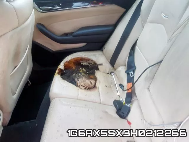 1G6AX5SX3H0212266_9.webp