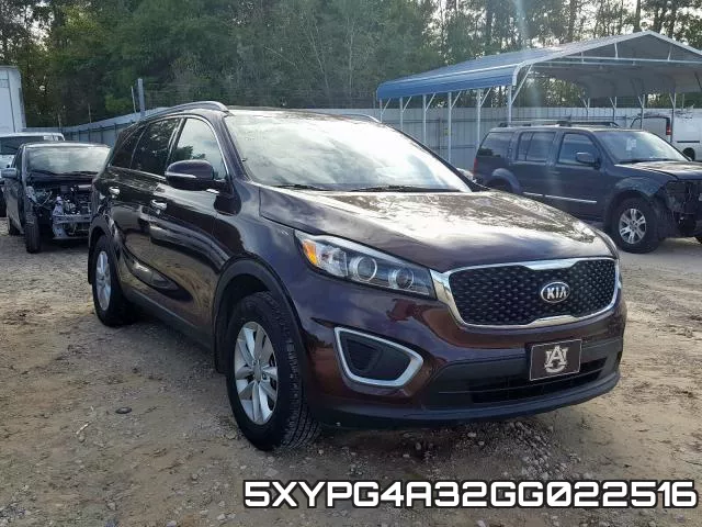 5XYPG4A32GG022516