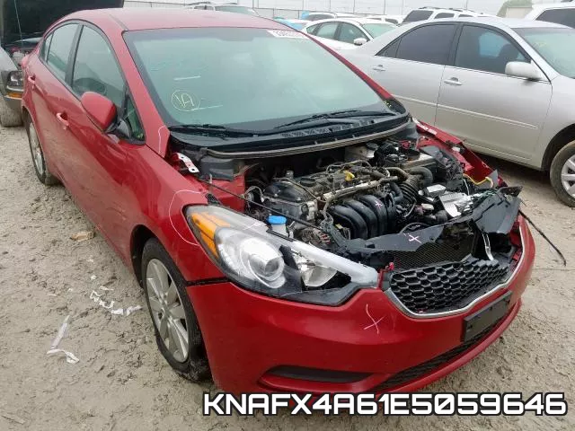 KNAFX4A61E5059646