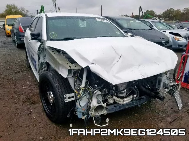 1FAHP2MK9EG124505