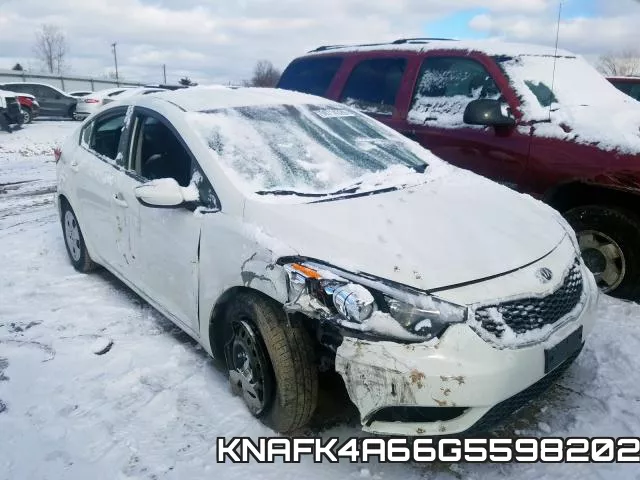 KNAFK4A66G5598202