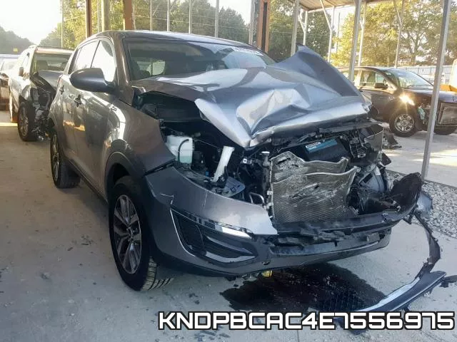 KNDPBCAC4E7556975