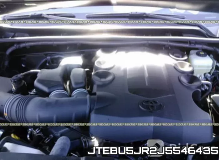 JTEBU5JR2J5546435_10.webp