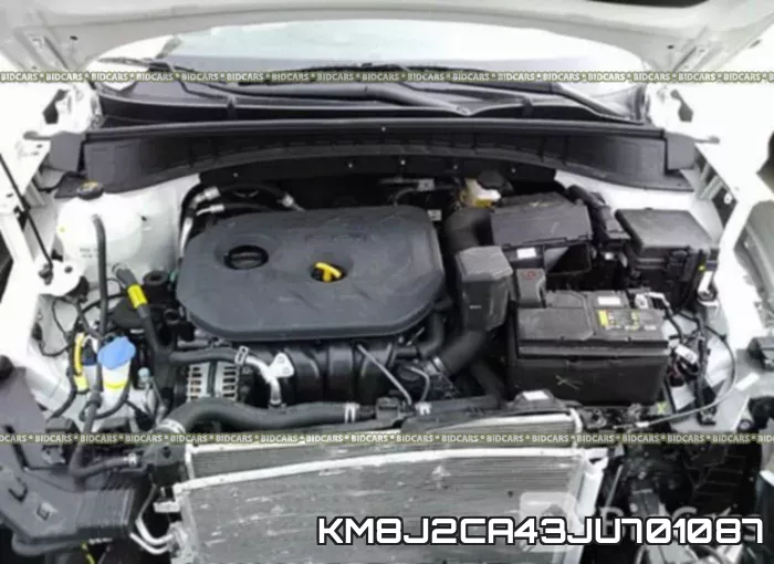 KM8J2CA43JU701087_10.webp