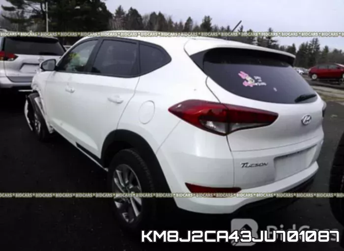 KM8J2CA43JU701087_3.webp