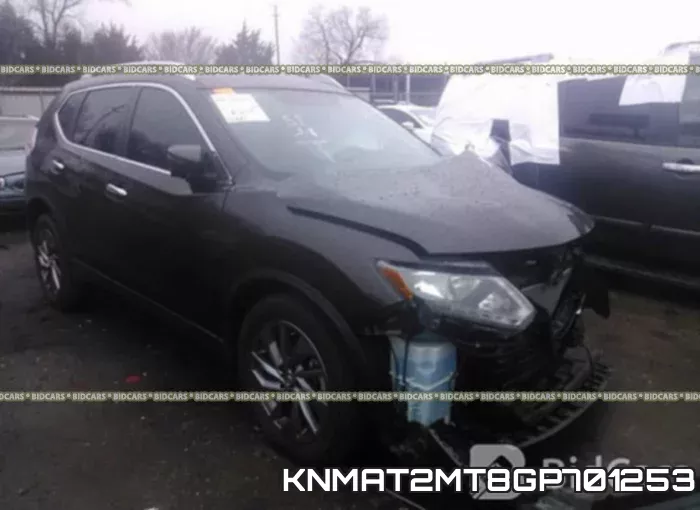 KNMAT2MT8GP701253