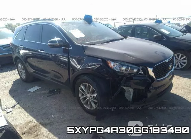 5XYPG4A30GG183480