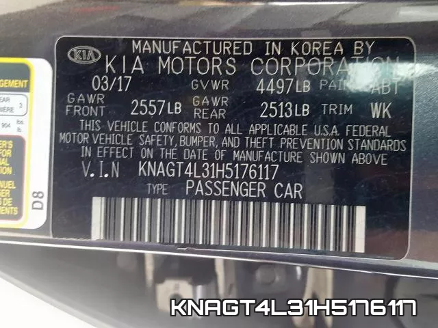 KNAGT4L31H5176117_10.webp