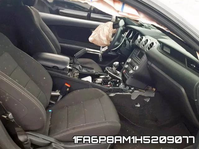 1FA6P8AM1H5209077_5.webp