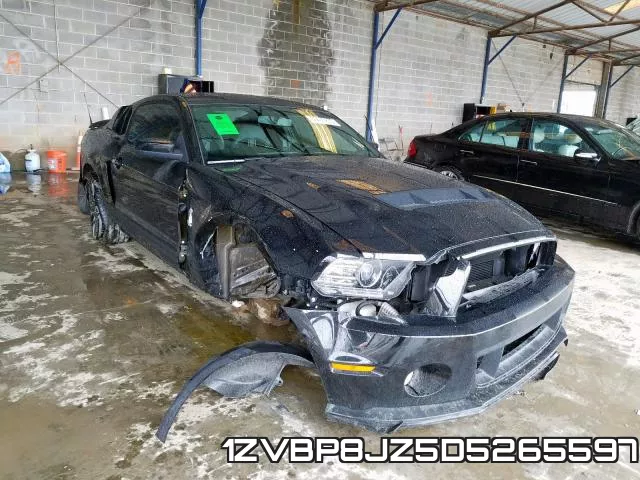 1ZVBP8JZ5D5265597
