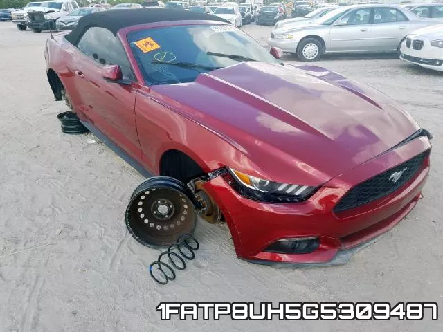 1FATP8UH5G5309487
