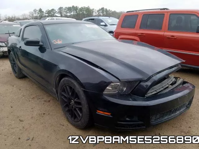 1ZVBP8AM5E5256890
