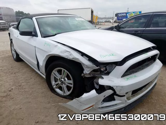 1ZVBP8EM6E5300079