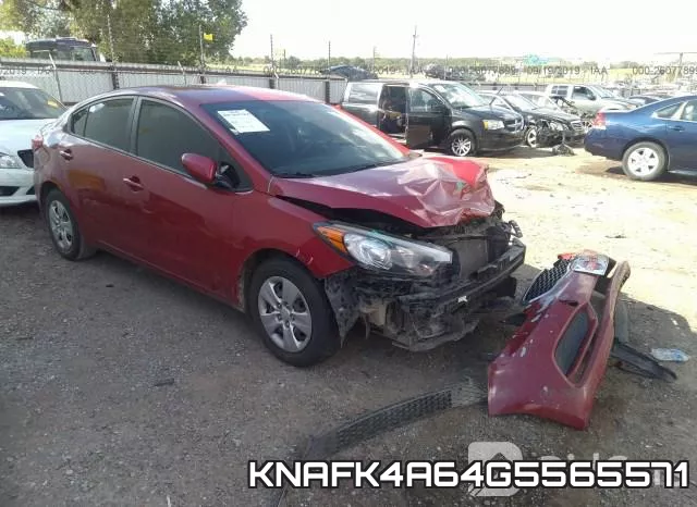 KNAFK4A64G5565571