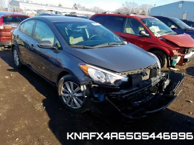 KNAFX4A65G5446896
