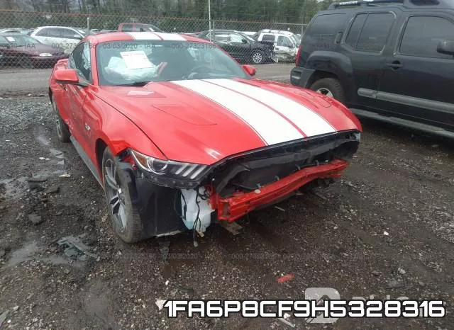 1FA6P8CF9H5328316_6.webp