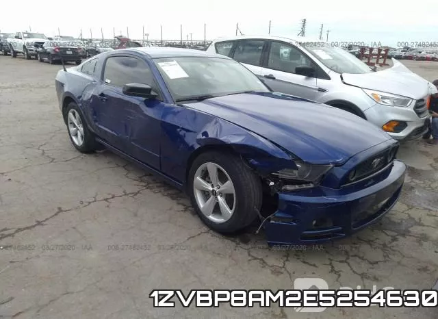 1ZVBP8AM2E5254630