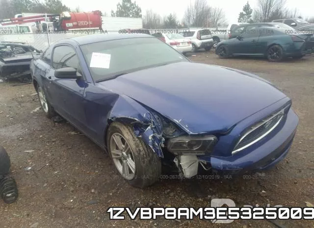 1ZVBP8AM3E5325009
