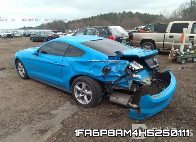 1FA6P8AM4H5250111_3.webp